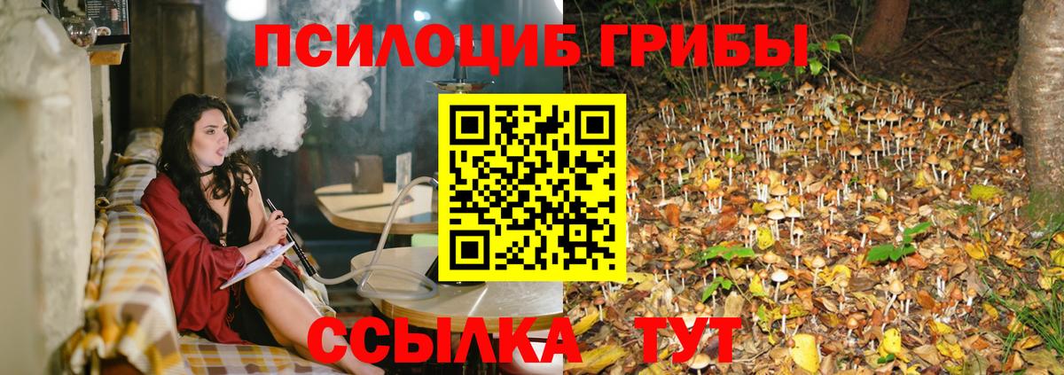 Галлюциногенные грибы прущие грибы  Вход с VPN  Каменка  Галлюциногенные грибы ЛСД 