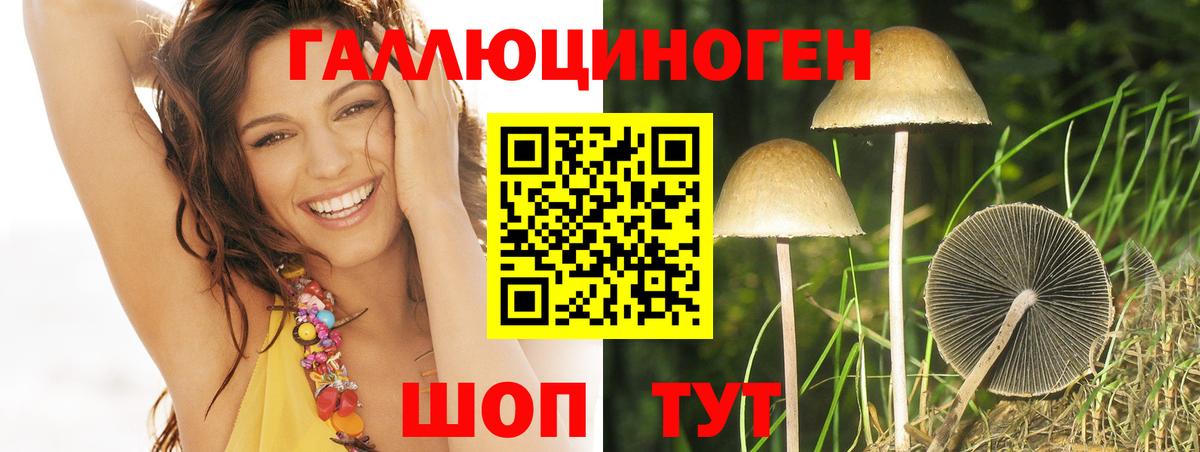 Галлюциногенные грибы ЛСД Каменка